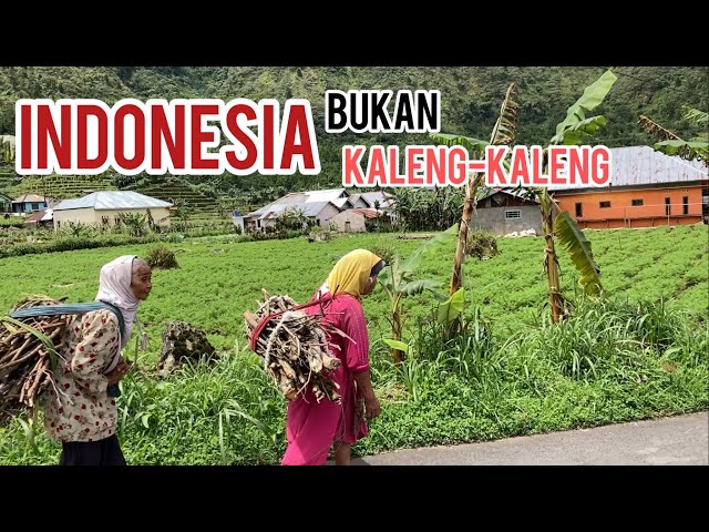 Indonesian village life in the mountains class=