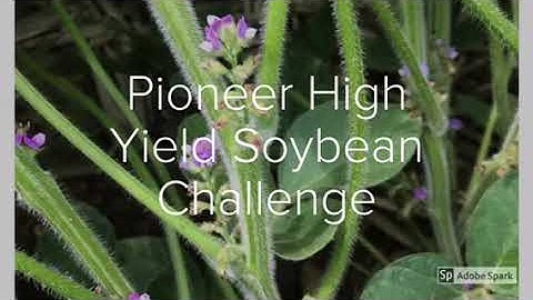 2018 High Yield Soybean Challenge