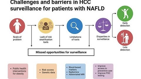 [HR] Video Abstract: Challenges and barriers in HCC surveillance for patients with NAFLD