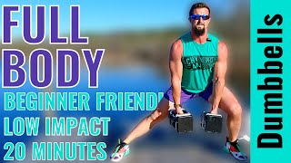 20 Minute Dumbbell Full Body Workout - No Repeats - Low Impact