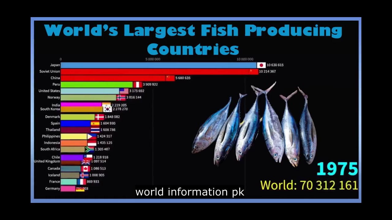 World s Largest Fish Producing Countries YouTube World s Largest Fish Producing Countries YouTube