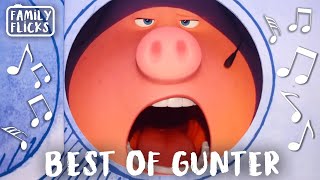 Best Of Gunter (Nick Kroll) | Sing 1 (2016) and Sing 2 (2021) | Family Flicks