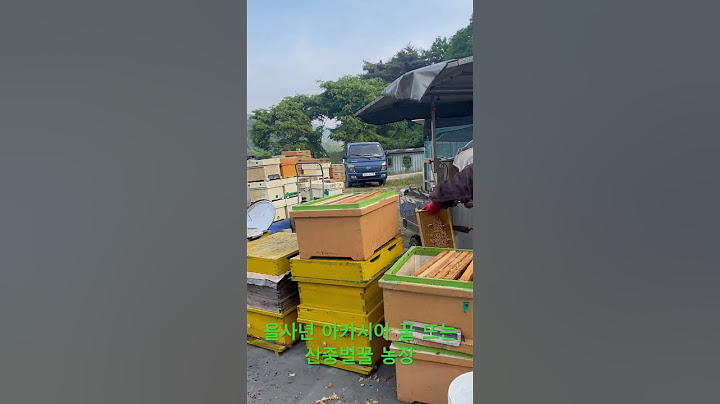 아카시아 꿀뜨고 있어요 #농사 #꿀단지 #farming #산중벌꿀 #꿀 아카시아꿀