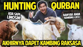 HUNTING HEWAN QURBAN! AKHIRNYA DAPET KAMBING RAKSASA! ADA SAPI LIMOSIN & ANAK KAMBING LUCU!