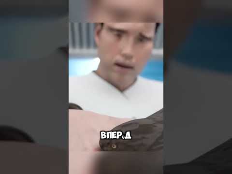Не живая голова змеи укусила повара @sovietdoblest