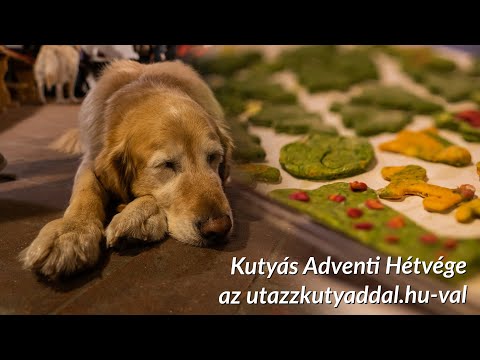 Kutyás Adventi Hétvége az utazzkutyaddal.hu-val