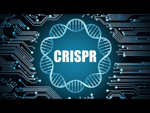 Video: Den Nye CRISPR-modifikasjonen Vil Kunne Redigere Opptil 50 Prosent Av Genomet - Alternativt Syn