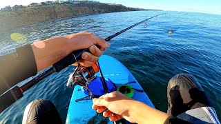 BAGGED OUT! Stand-up Paddle Board Fishing!