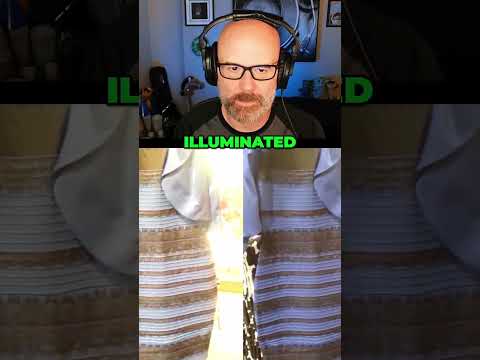 The Dress Debate: Why We See Different Colors by TheRealBrandolorian