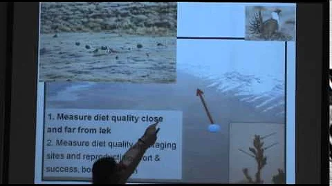 Update on Sagebrush Nutrition Research