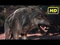 Depredadores Prehistóricos (2007-2009) "Lobo Gigante" National Geographic HD