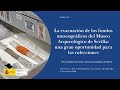 La evacuación de los fondos museográficos del Museo Arqueológico de Sevilla.