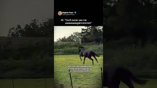 🐴: You’ll never see me again..