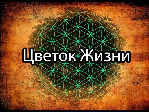 Цветок Жизни
