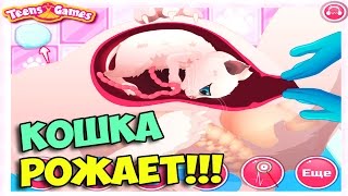 КОШКА РОЖАЕТ!!! - ВЫНОС МОЗГА(Подпишитесь чтобы не пропустить новые видео. Подписка на мой канал - http://bit.ly/dilleron Мой второй канал - http://bit.ly/Di..., 2016-02-07T05:30:00.000Z)