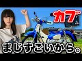スーパーカブが最強である理由４つ【カブは人生の最高の相棒なんだ】後編
