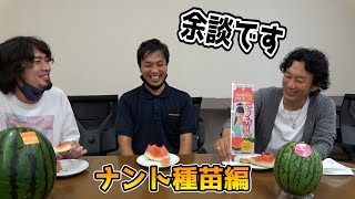 【余談です】ナント種苗のスイカを食べながら