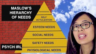 Maslow's Hierarchy Of Needs Explained