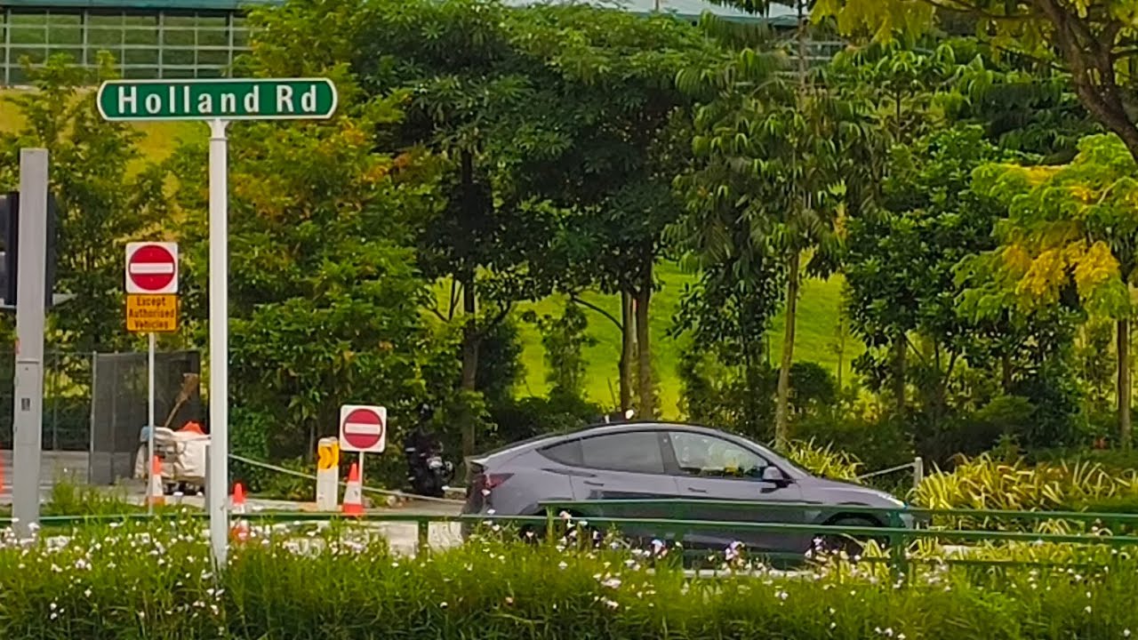 Pedestrian Footage Singapore | Holland Road - YouTube