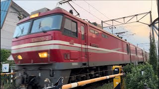2023.6.29 高速貨物A 3056レ 札幌タ〜隅田川タ