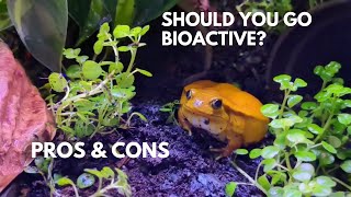 Pros and Cons of Bioactive