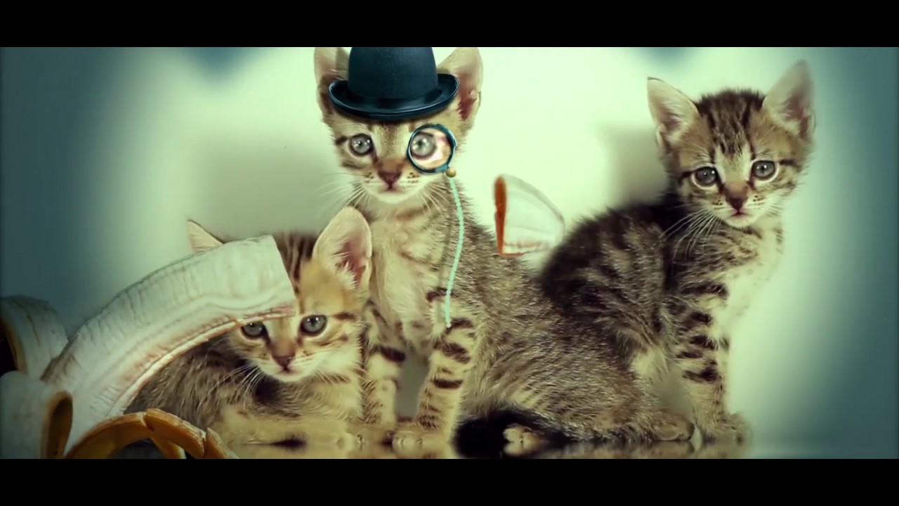 Walk With Me | Happy Upbeat and uplifting Song - Alternative and experimental music