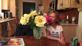 Roberta's 1-Piece Itoh Hybrid Peony Live Plant on QVC Roberta S 1 Piece Itoh Hybrid Peony Live Plant On Qvc