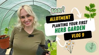 Seeds to sow now!  Easy herb crops  Allotment gardening UK  Thrifty Green Life