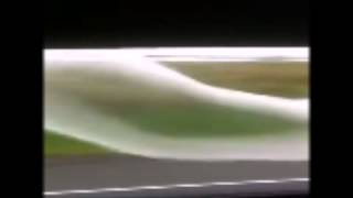 This is what happens when you put a condom out the window
