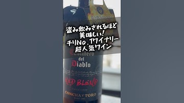 悪魔的においしい辛口赤ワイン！ #shorts #wine #ワイン #ソムリエ #チリワイン #赤ワイン #bbq