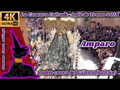 Real Cofradía de Nuestro Padre Jesús a su Entrada en Jerusalén y María Santísima del Amparo