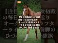 【競馬情報】2026/9/16 【注目馬動向】秋初戦の毎日王冠を見送り オークス3着馬ラフターラインズは右前脚のひづめに熱感を確認 #Shorts
