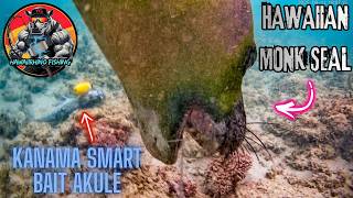 WHAT happens when a HAWAIIAN MONK SEAL Attacks my KANAMA BAIT AKULE?