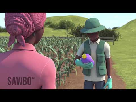 How to Identify and Scout for Fall Armyworm in Tamil (accent from India)