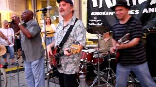 The Fathead Blues Band LIVE 2010 Beaches Jazz Festival Toronto