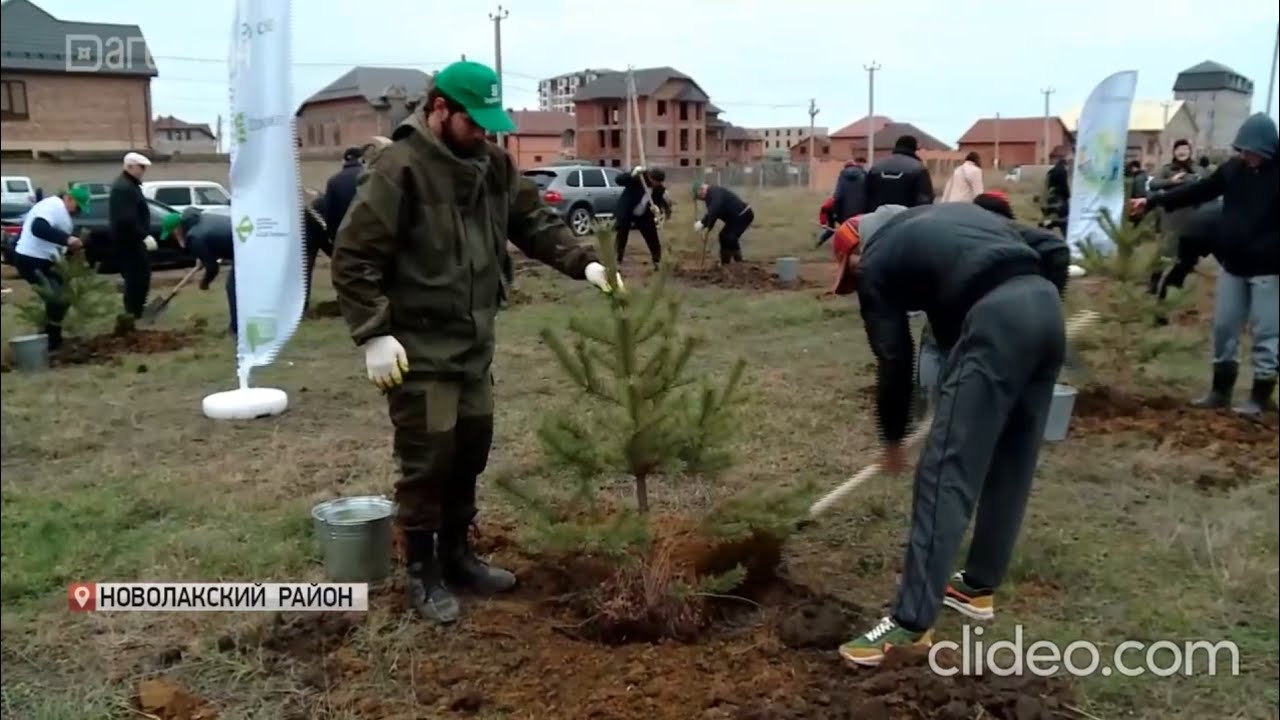 Высадили участника сво