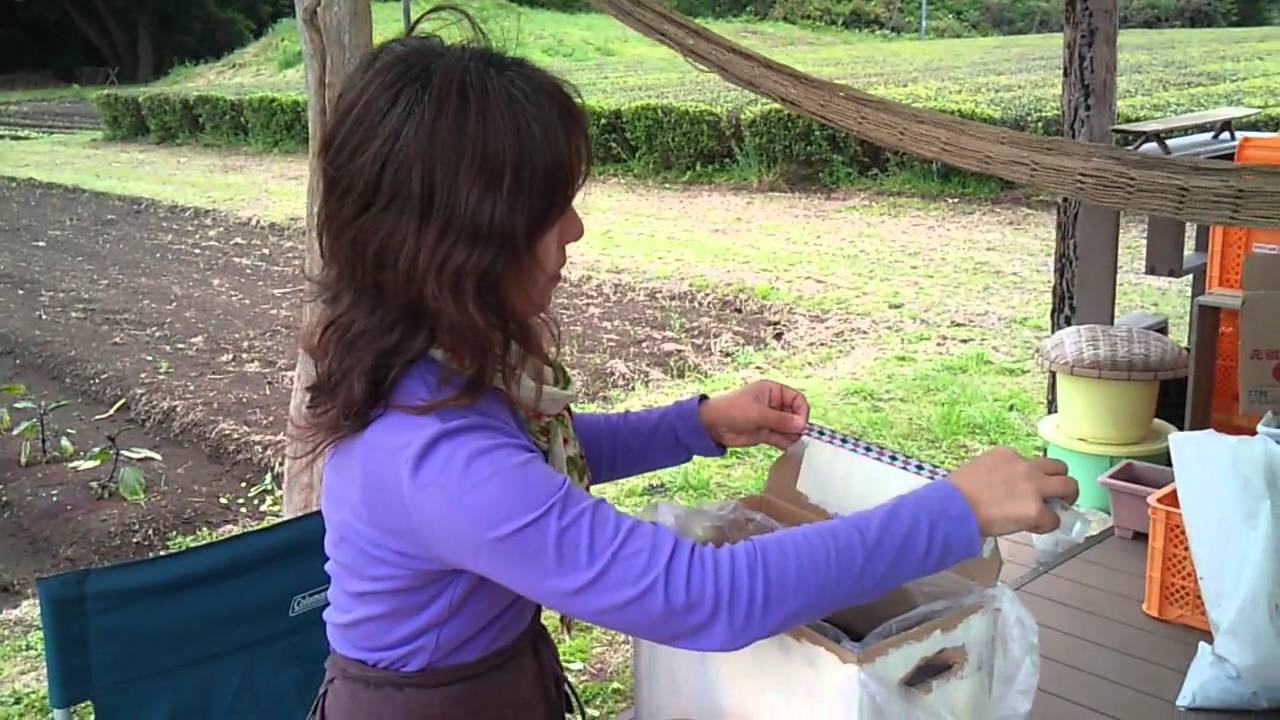 ベジタブル キッチンガーデンの作り方 １ Youtube