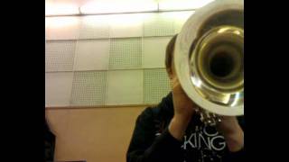 Denis Ezhkov  - Trumpet / Lead /  Solo / Big Band