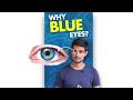 The Secret behind Blue Eye Color!