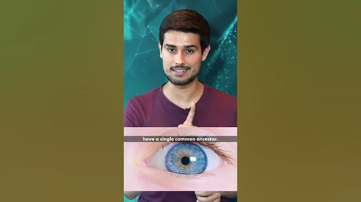 The Secret behind Blue Eye Color! - DayDayNews