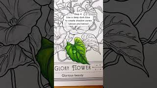 Celebrity How to color water droplets on leaves | Coco Wyo Coloring Book Wealth