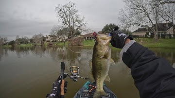 Ugly Stik Dock Runner Bass Fishing