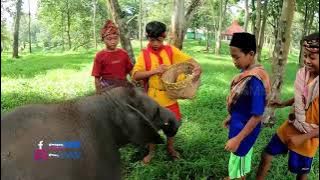 [FULL] PISANG PILIHAN ANAK GAJAH TERSAYANG | SI BOLANG (12/02/24)