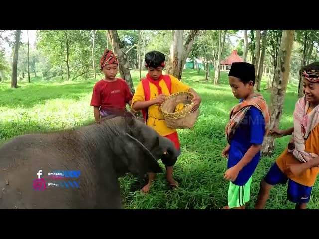 [FULL] PISANG PILIHAN ANAK GAJAH TERSAYANG | SI BOLANG (12/02/24) class=