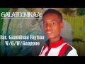 Gaaddisaa Fayisaa Galatoomikaa Faarfannaa Afaan Oromoo Haaraa Gaaddisaa Fayisaa Galatoomikaa Faarfannaa Afaan Oromoo Haaraa