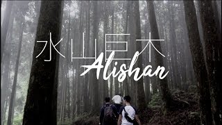 阿里山秘境》水山巨木步道【Chiayi Vlog EP02】Travel Taiwan ...