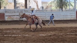 CANDELA, la hermana de Payaso Rojo Gunner, en acción