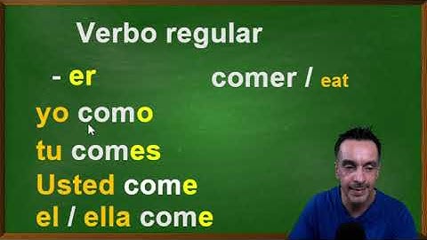 Differences between regular and Irregular Spanish verbs + verb to go ( ir)