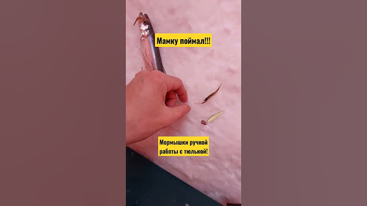 Поймал МАМКУ! Мормышки ручной работы +тюлька дали результат! #васярыбаков #рекомендации #корюшка