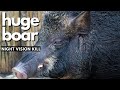 Georgia Hog Hunting: Night Vision